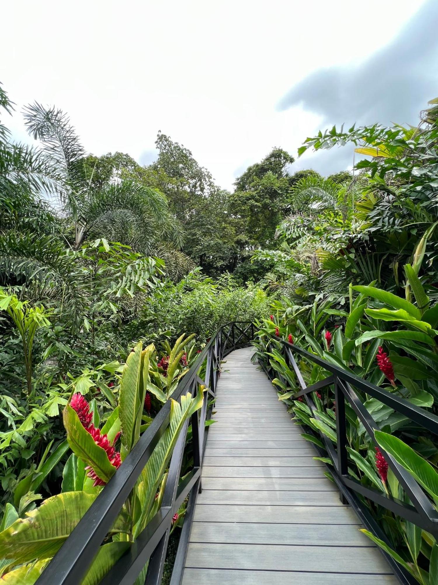 Hotel Boutique Casa Del Rio La Fortuna Exteriér fotografie
